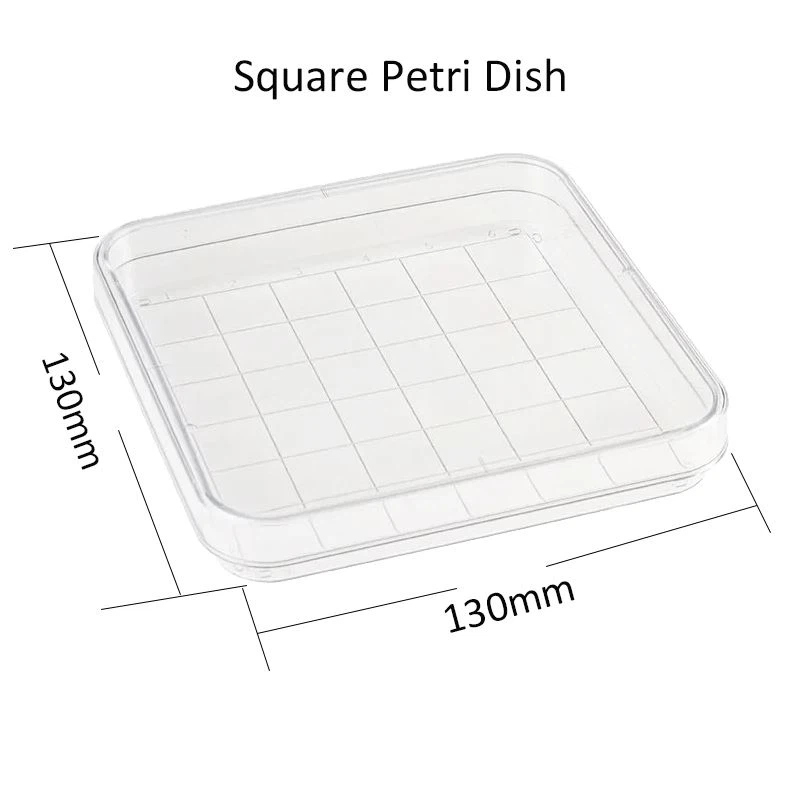 Square petri dish