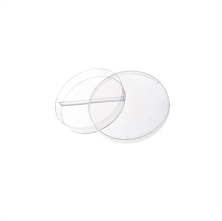 Plastic Tissue Culture Plate